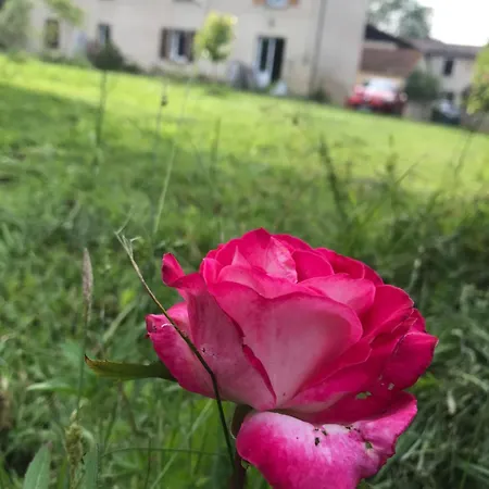 Chez Benoit, Sejour Zen, D'amis *