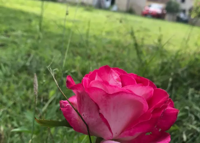 Chez Benoit, Sejour Zen, D'amis *